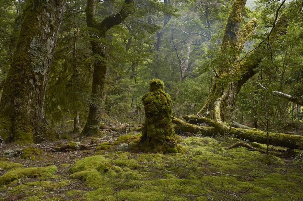 Escultura el guardian del bosque de Martin Hill