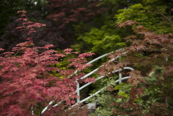 kazuyuki-ishihara-chelsea-photo-jim-powell-despiertaymira (7)