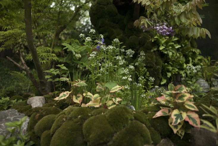 kazuyuki-ishihara-chelsea-photo-jim-powell-despiertaymira (8)