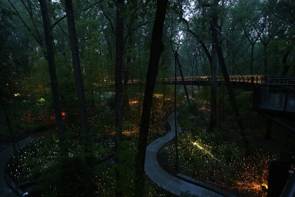 panoramica instalacion luminica en jardin botanico atlanta