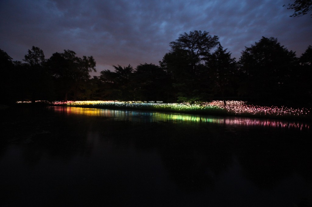 Instalacion luminica Jardin Botánico Longwood