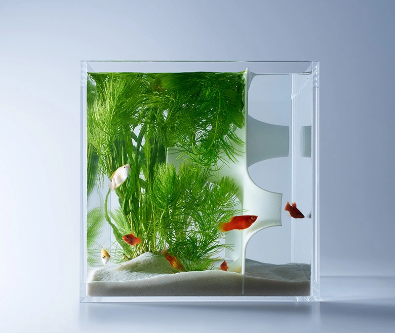 Detalle de acuario con planta y entrada tridimensional de waterscape