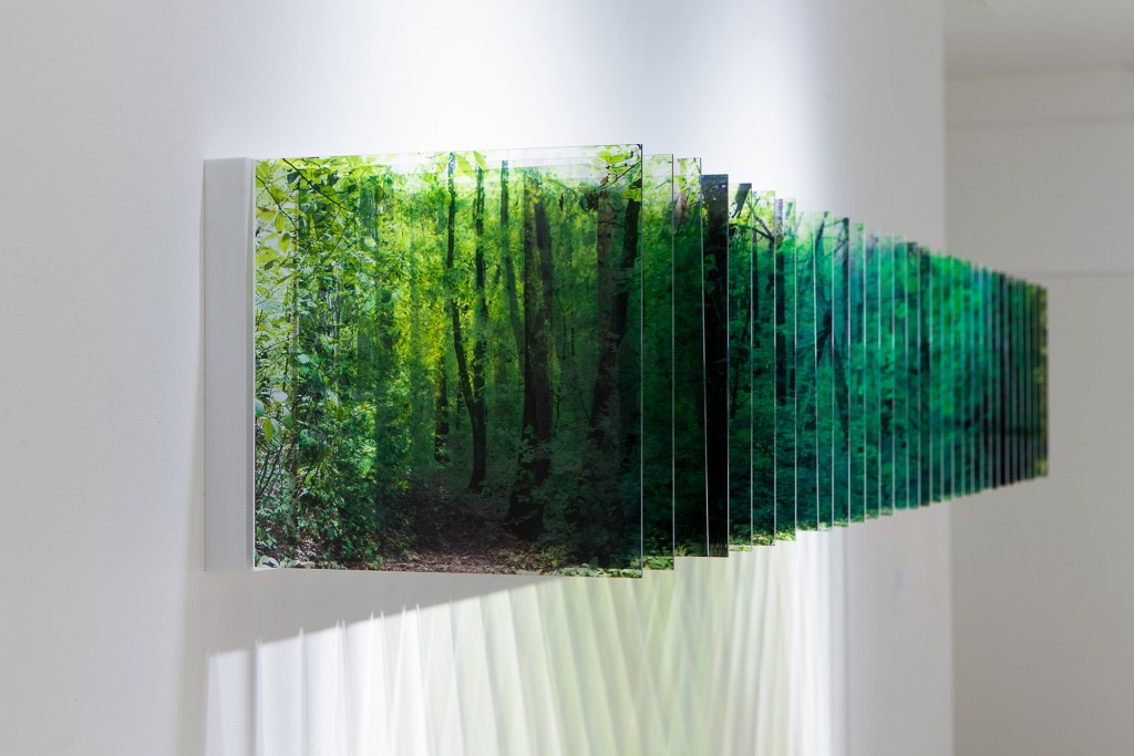 Layer Drawings que reflejan el sendero del bosque