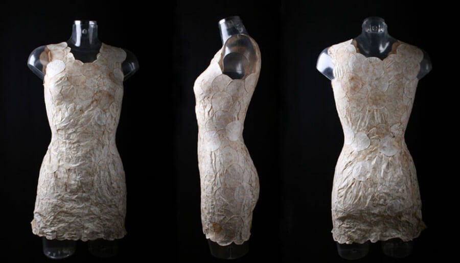 Vestidos de micelios que pueden servir de abono a las plantas