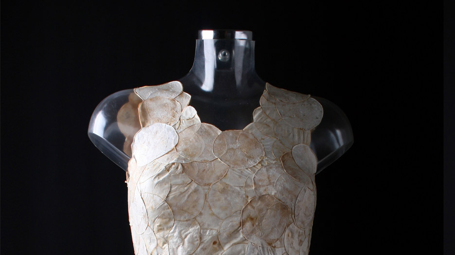 Detalle parte superior del vestido con micelios