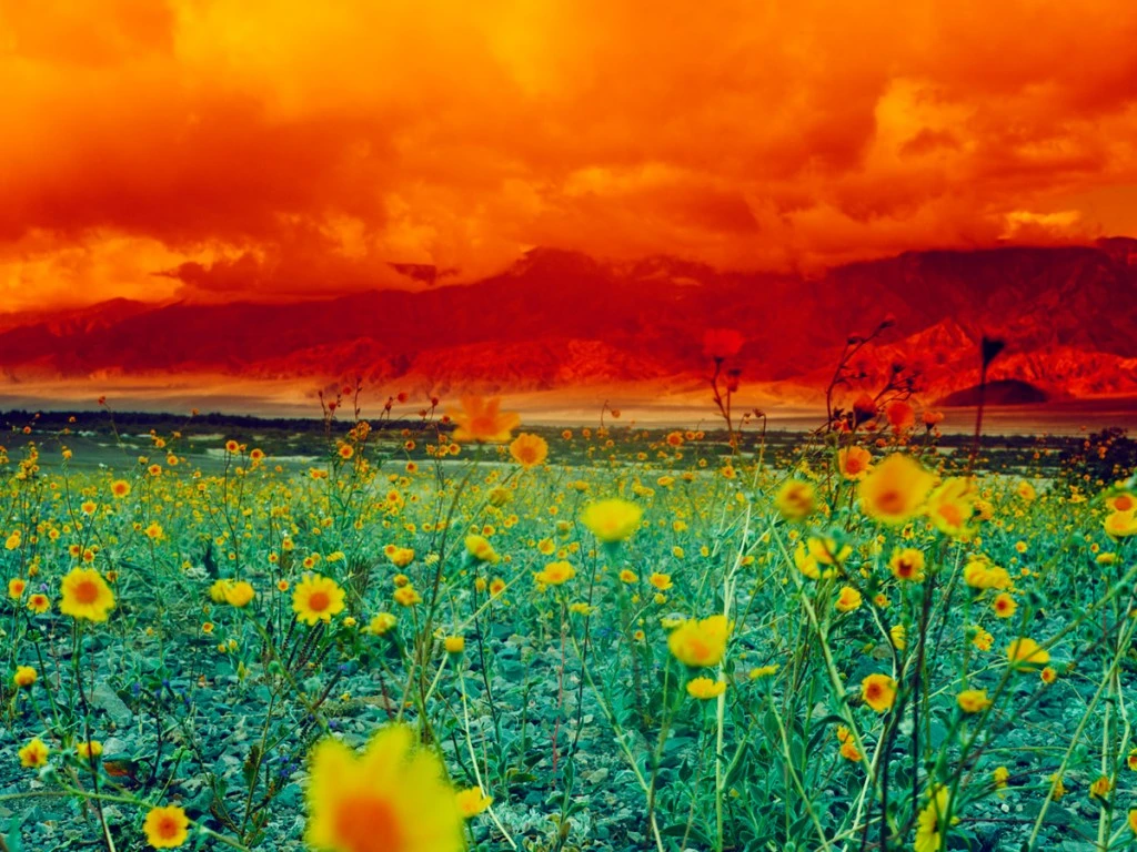 Contraste de colores en la fotografía de Maciek Jasik