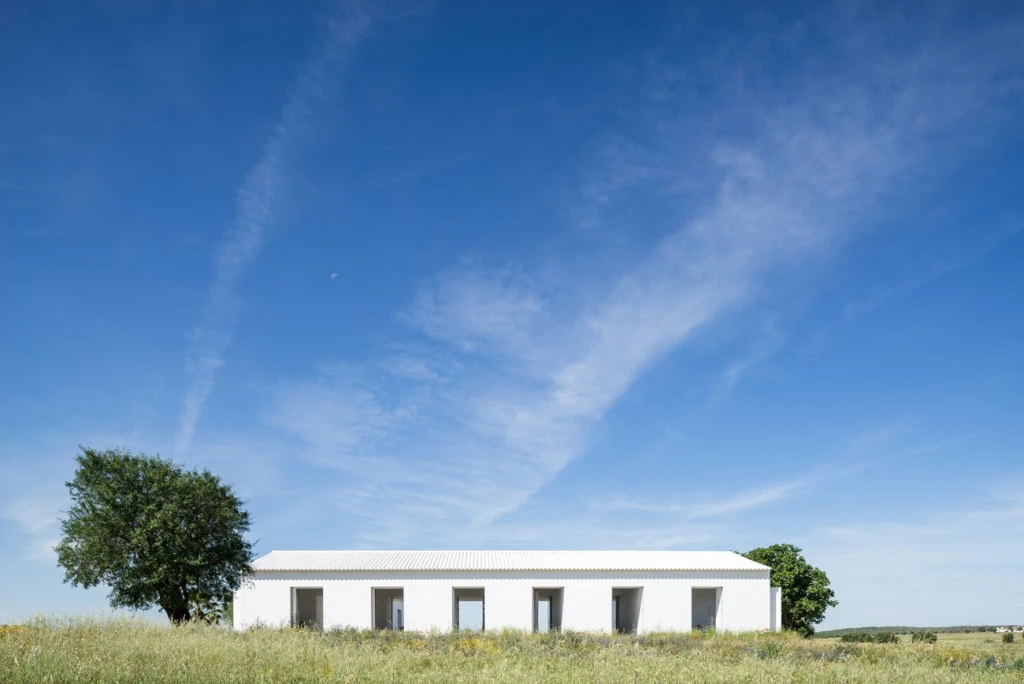 despiertaymira-azurujinha-14