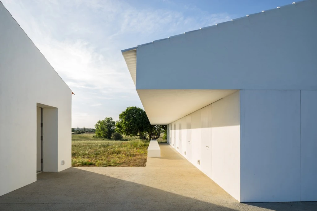 despiertaymira-azurujinha-2