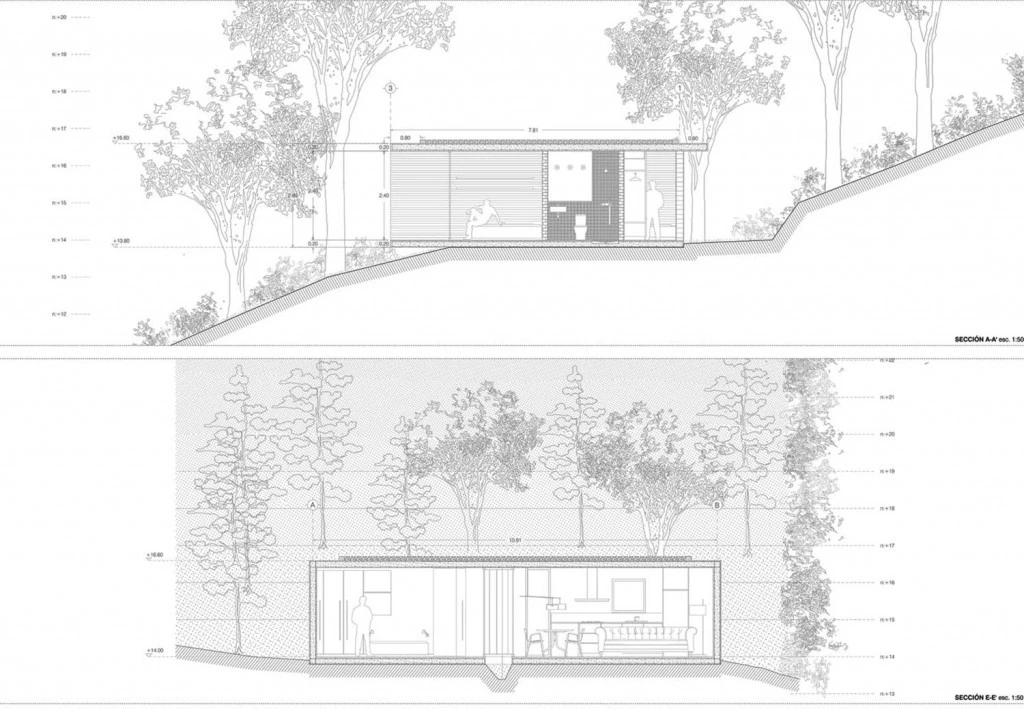 despiertaymira-lmm-5