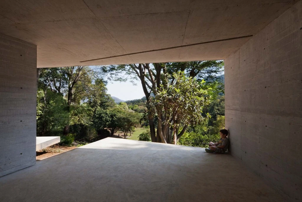 despiertaymira-lmm-8