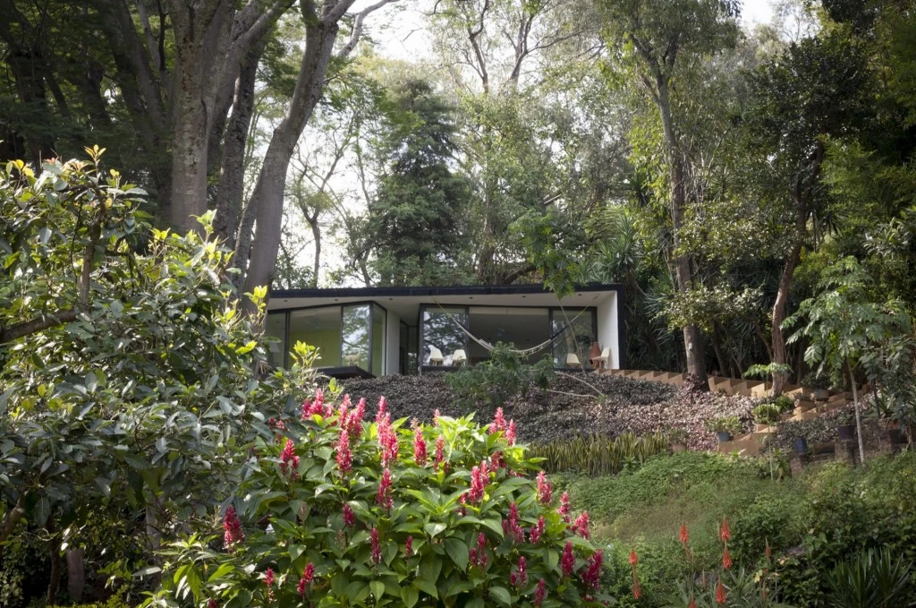 despiertaymira-lmm-photo-sandra_pereznieto-1