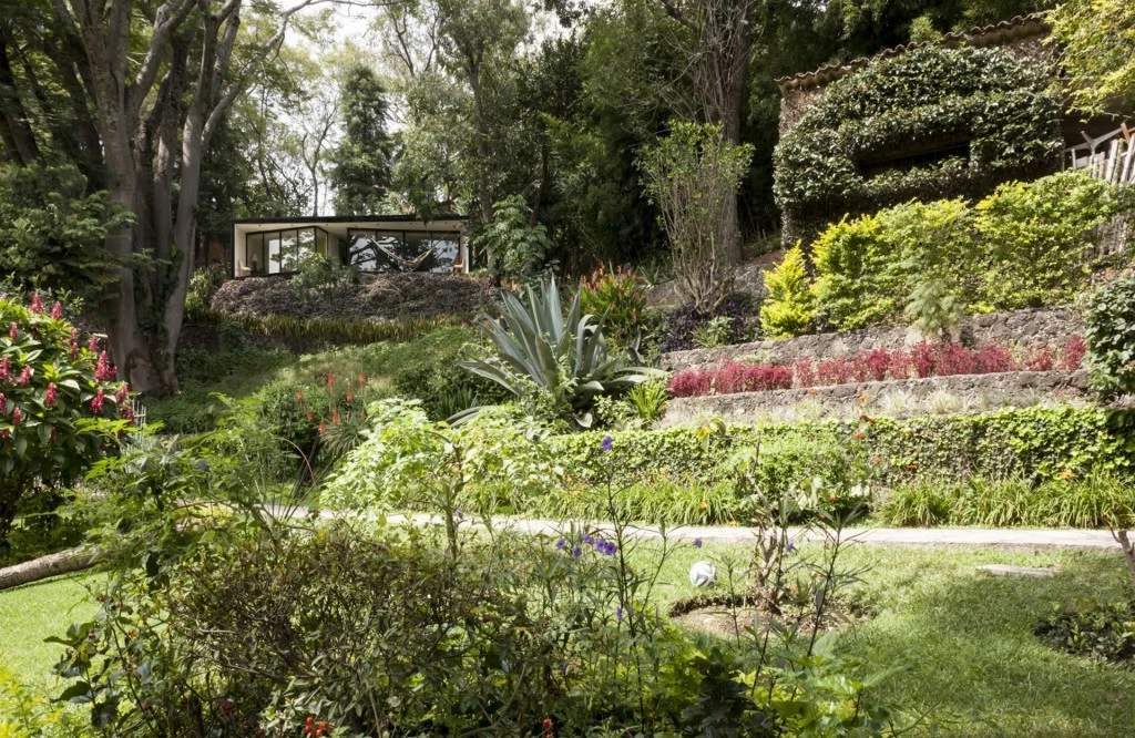 despiertaymira-lmm-photo-sandra_pereznieto-6