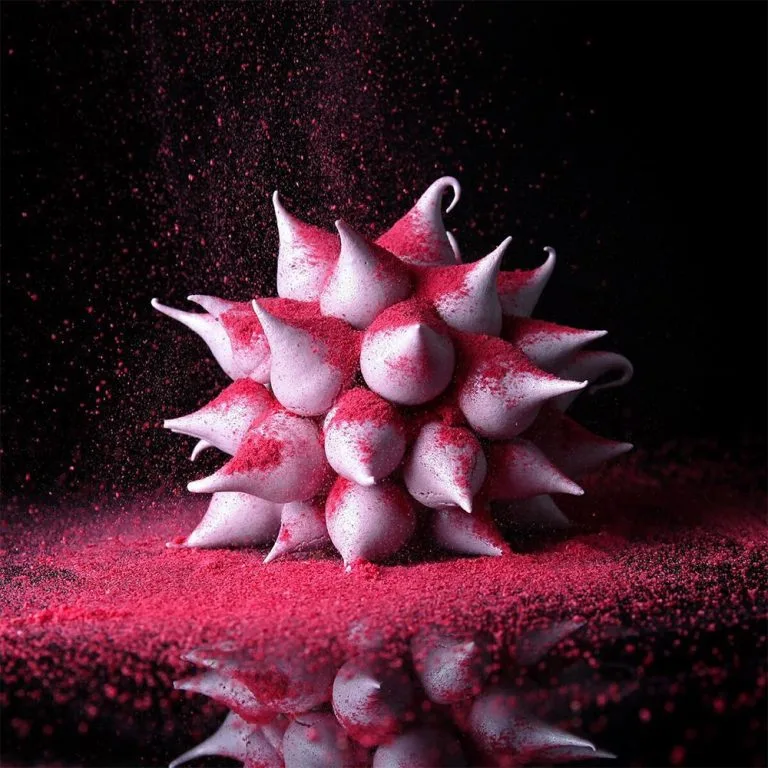 La insólita geometría comestible de Dinara Kasko