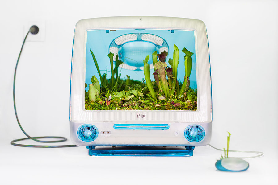 Detalle del proyecto Plant your Mac! de Monsieur Plant