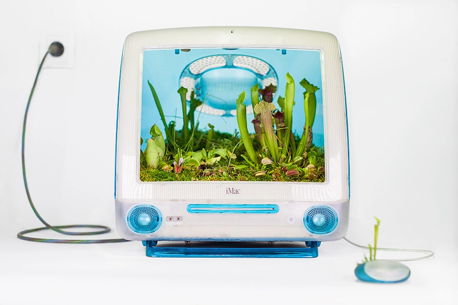 Detalle del proyecto Plant your Mac! de Monsieur Plant
