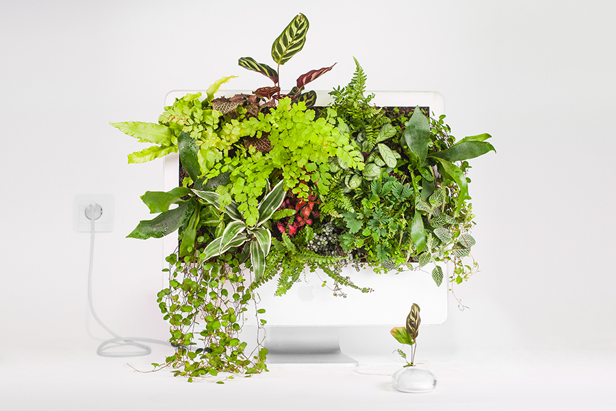 «Plant your Mac!» la naturaleza puede arraigar en cualquier sitio