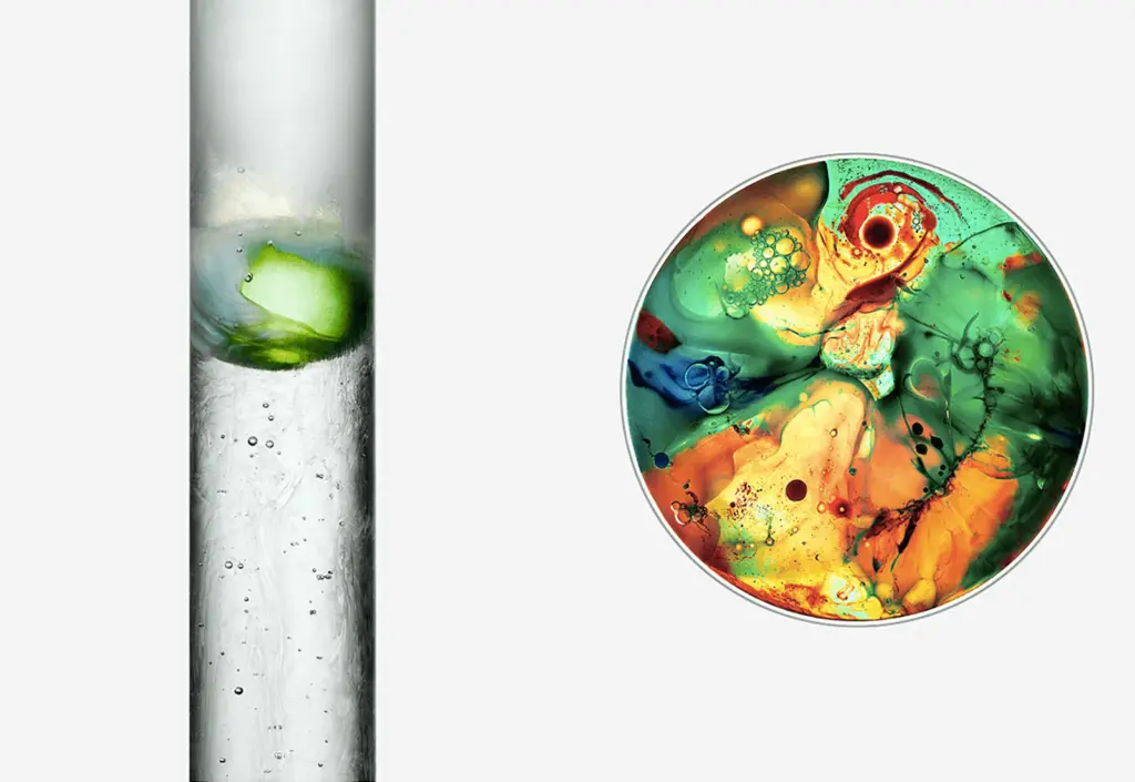 Fotografía de Christoffer Dalkarls que van mucho más allá de la química 