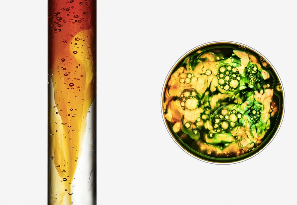 Obra nacida como un encargo para la revista Novembre Magazine