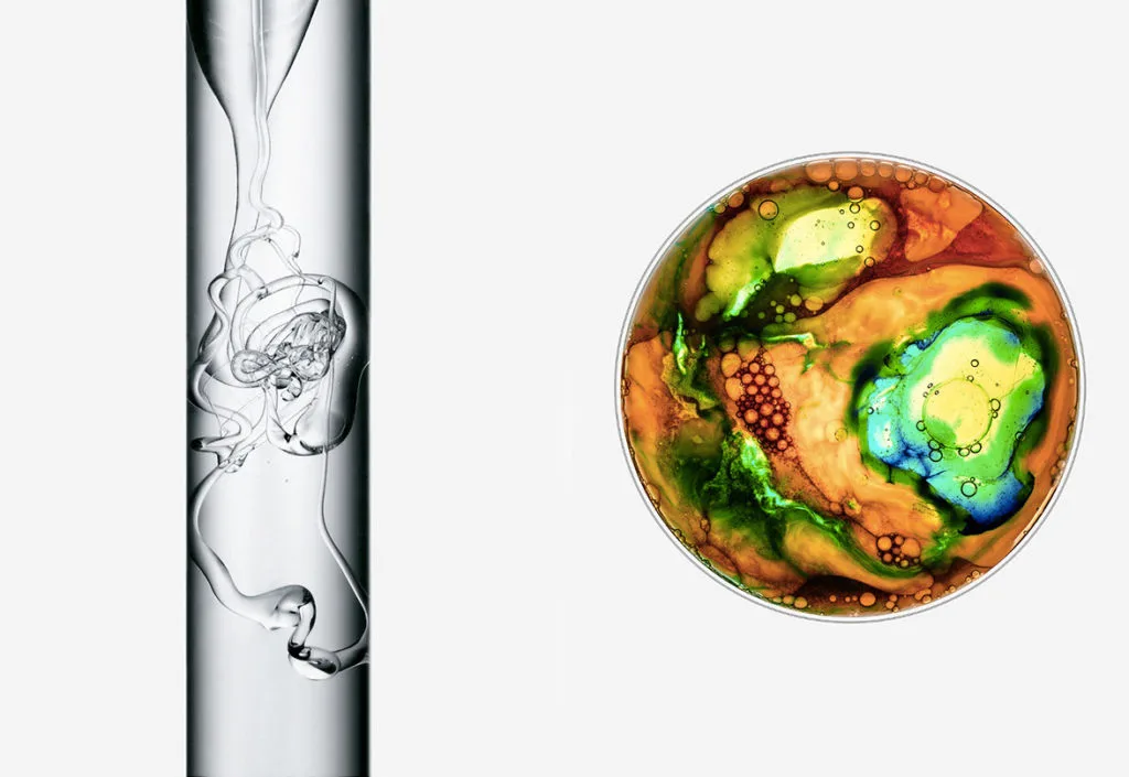 Christoffer Dalkarls ha sabido captar el momento preciso 