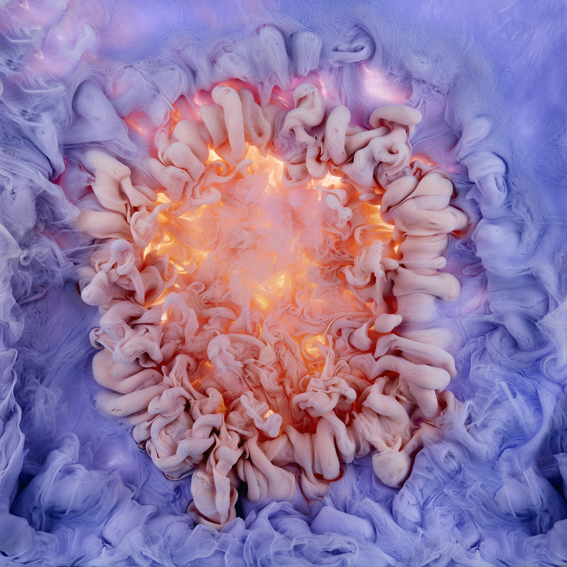 detalle flowers and swirls de mark mawson