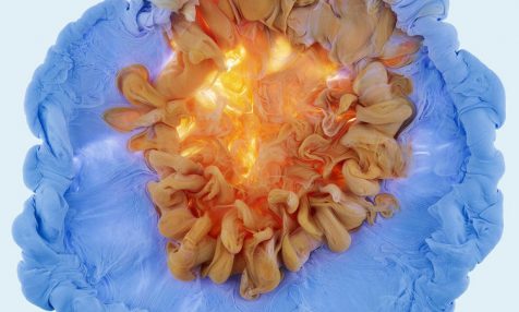 Las asombrosas flores líquidas de Mark Mawson