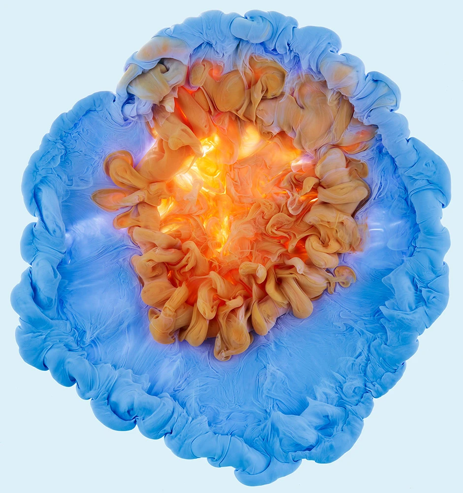 Mark Mawson ha hecho del mundo acuático su universo particular