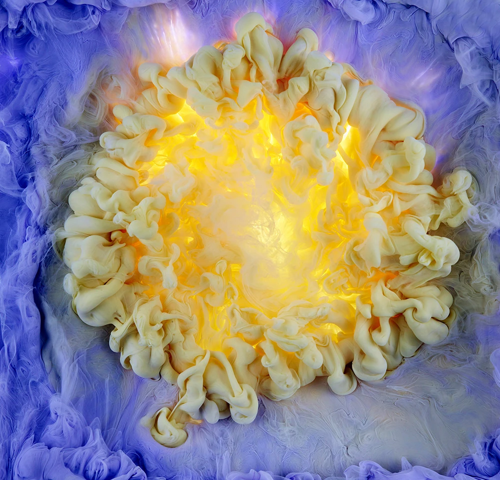 Serie «Flowers and Swirls» de Mark Mawson