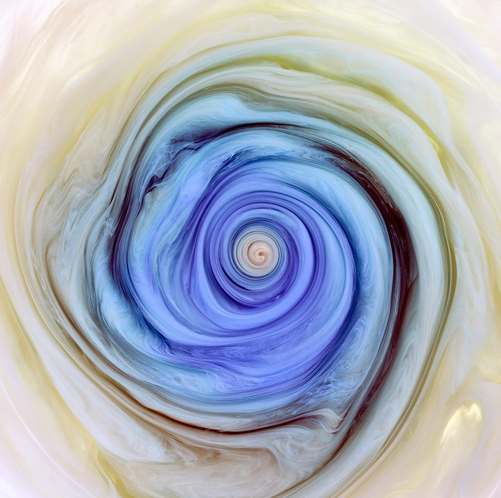 Detalle de la serie Flowers and swirls de mark mawson