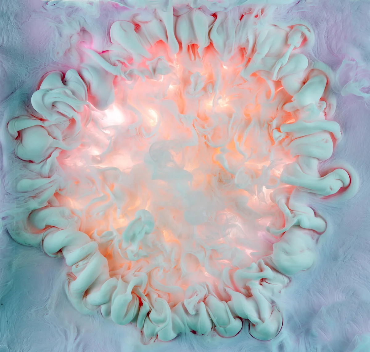 Flowers and swirls de mark mawson