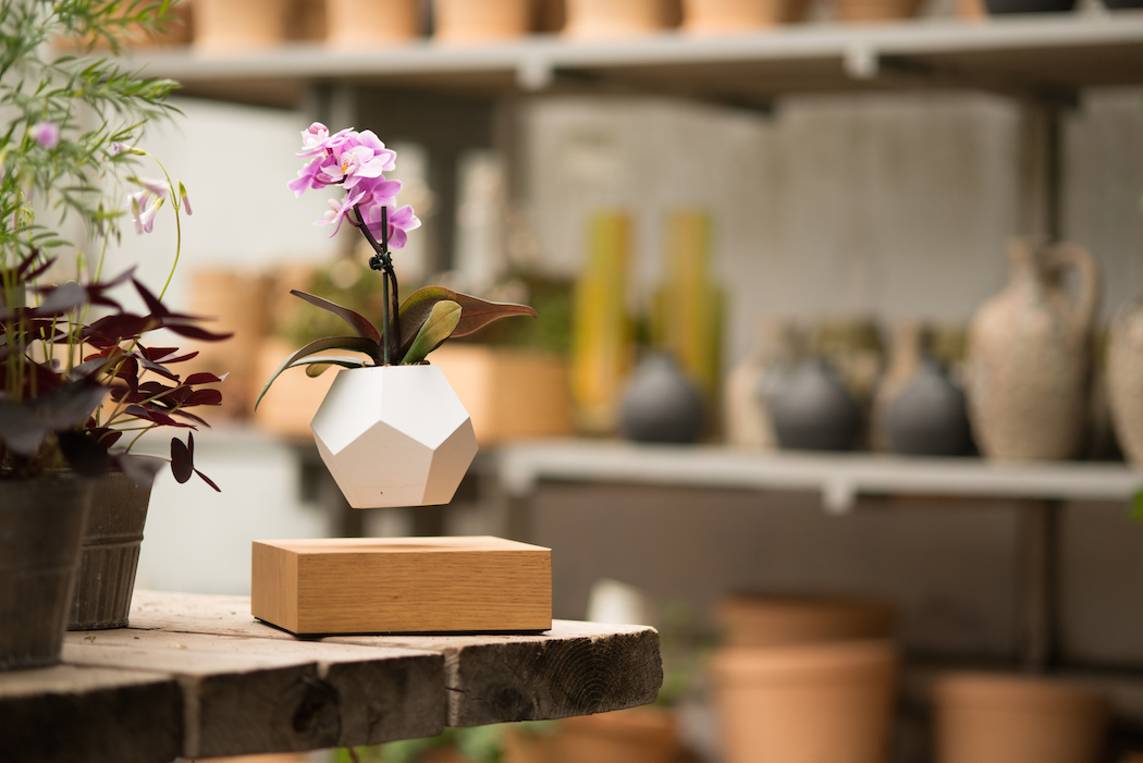  Detalle de la minimaceta con una base de madera de roble 