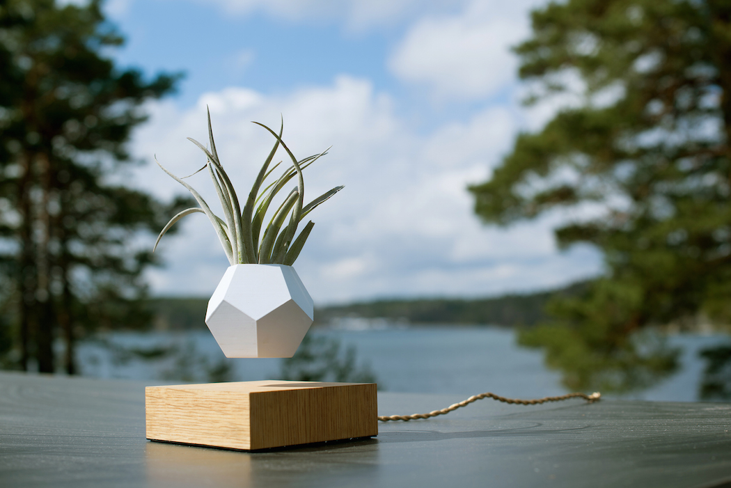 LYFE un diseño elegrante y minimalista