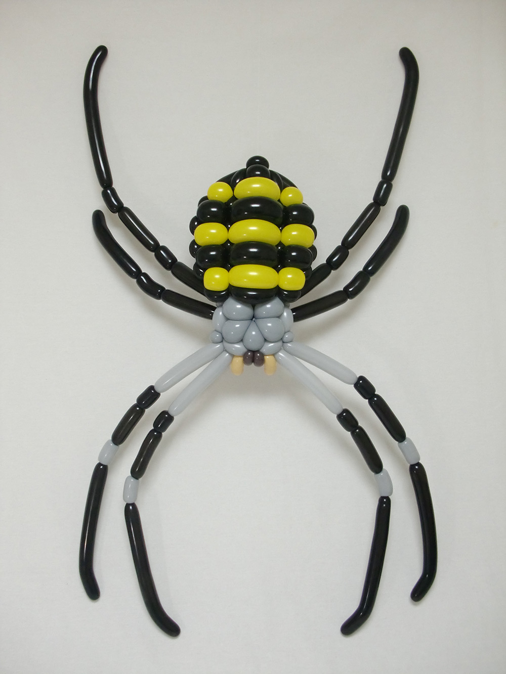 araña realizada en globoflexia