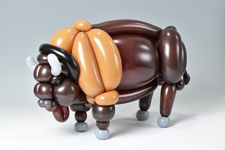 bufalo americano de masayoshi matsumoto