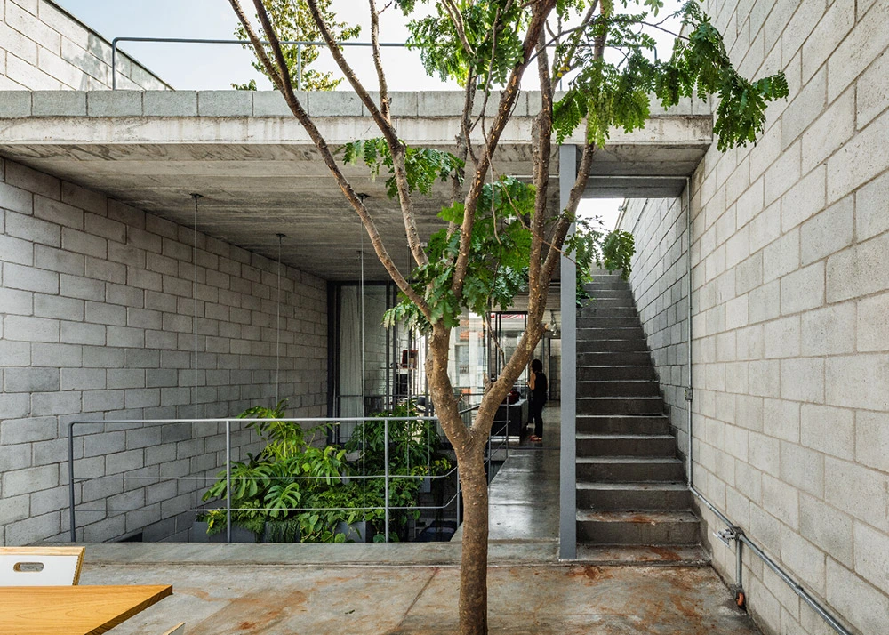 Terra e Tuma, el triunfo de la sencillez en la inmensidad paulista