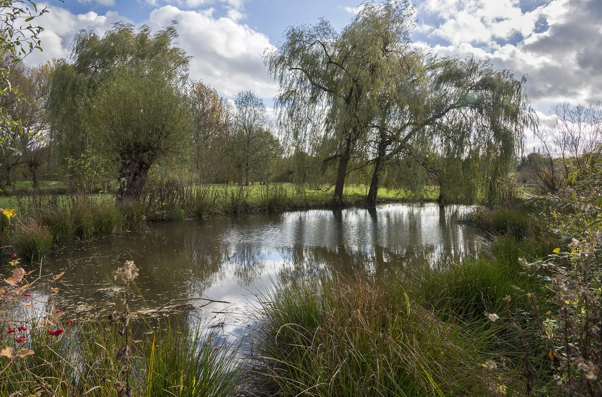 El pabellón alemán de Álvaro Siza