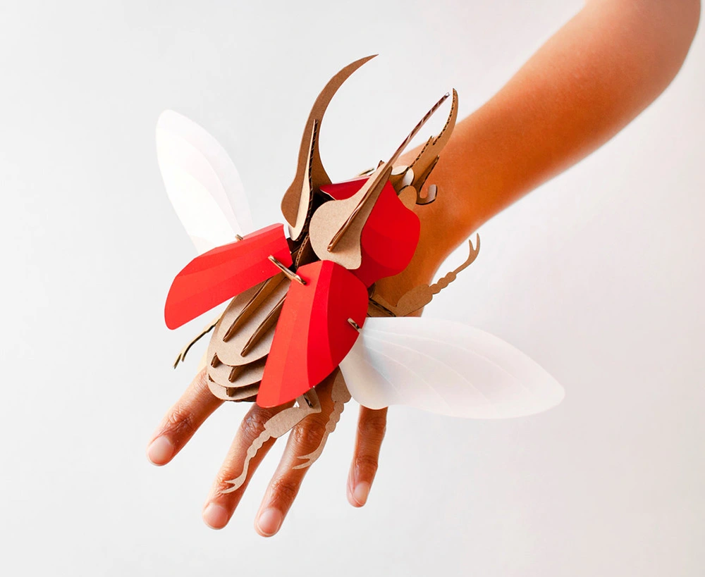 escarabajo atlas rubi rojo de assembli