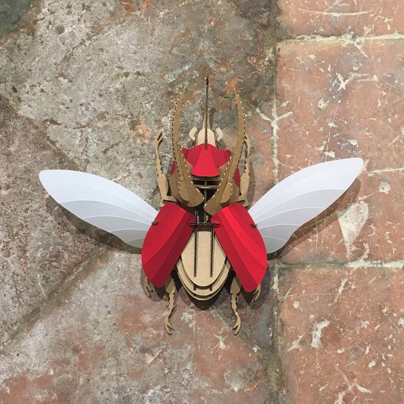 escarabajo atlas rubi red en batavia