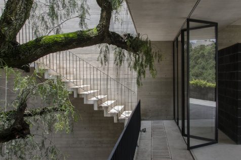 La mexicana Casa BC rezuma naturaleza a través de su fina piel de hormigón