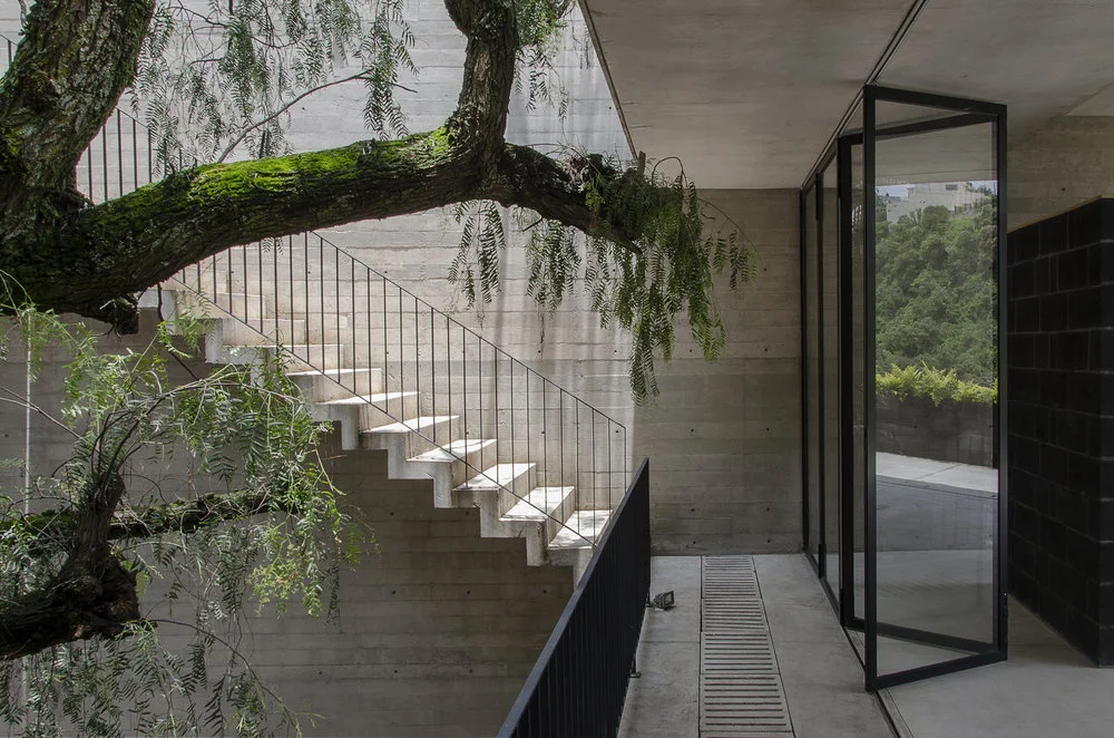 La mexicana Casa BC rezuma naturaleza a través de su fina piel de hormigón