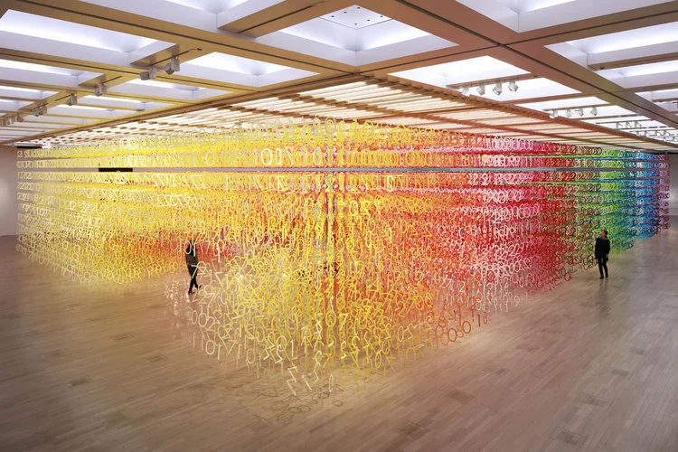 imagen general de la instalacion bosque de números