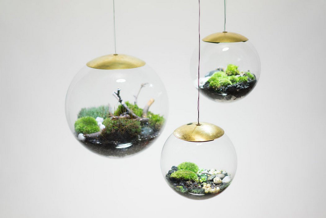 lamparas ecologicas o terrarios de richard clarkson