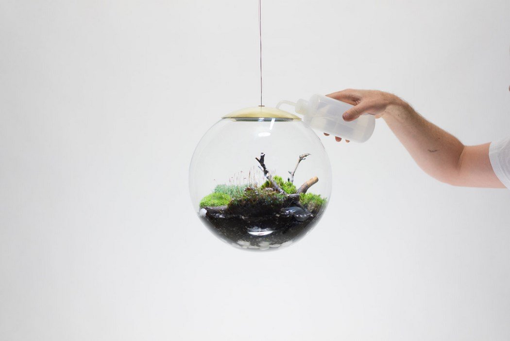 detalle de como regar globe