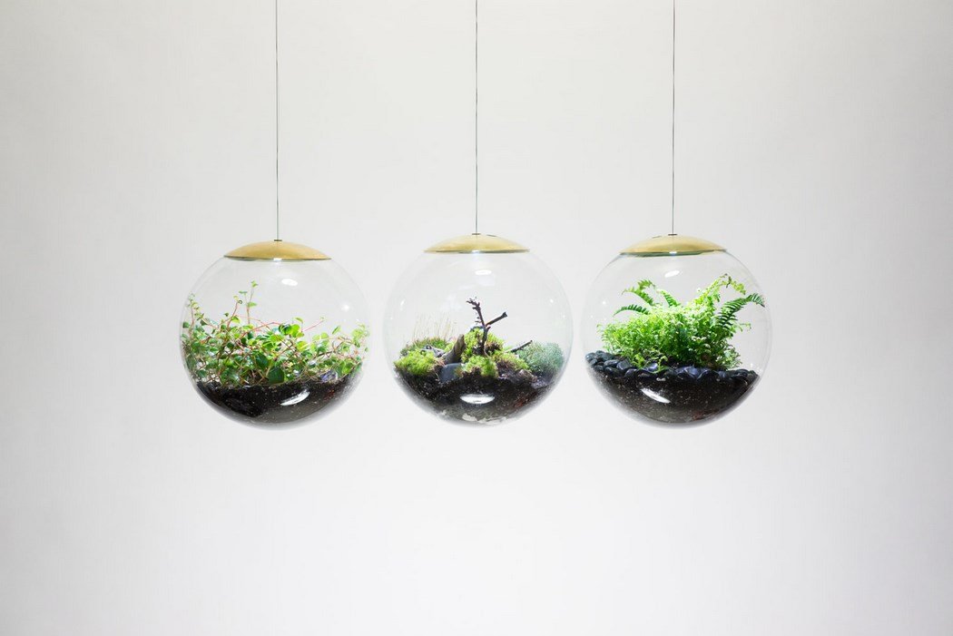 varios modelos de la lampara terrario globe