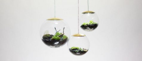 Globe proporciona cultivos de altura para iluminar nuestros hogares