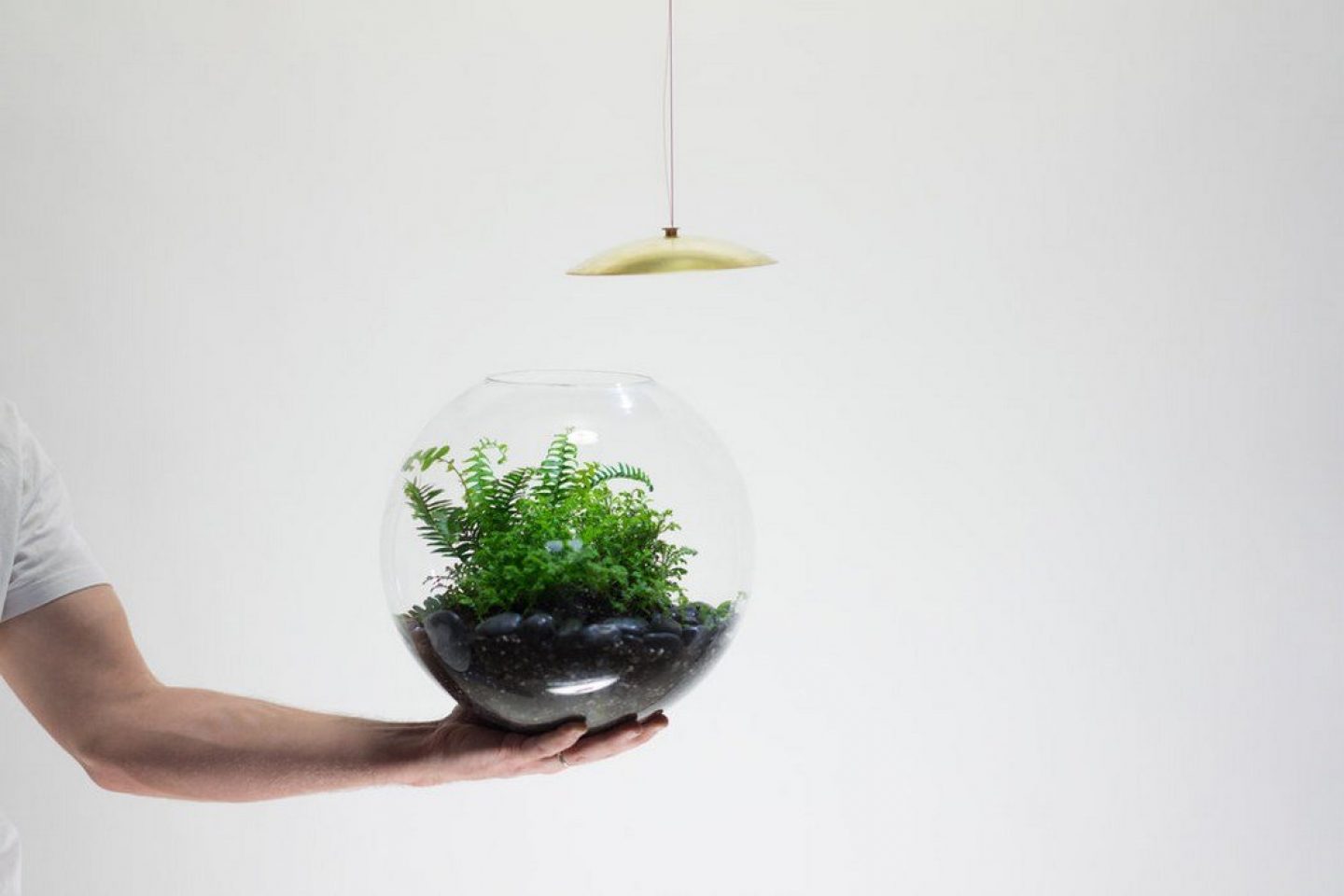 como desmontar globe, la lampara terrario