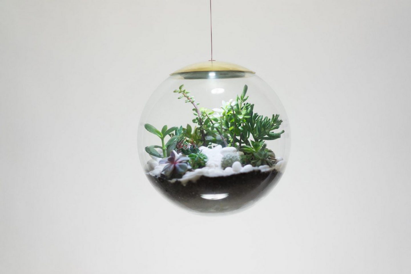 detalle del terrario, lampara globe diseñada por estudio richard clarkson