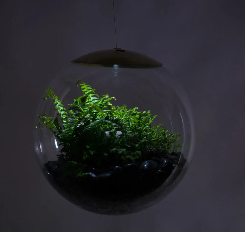 intensidad de luz led según las plantas