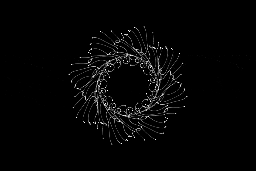 gif en blanco y negro de etienne jacob