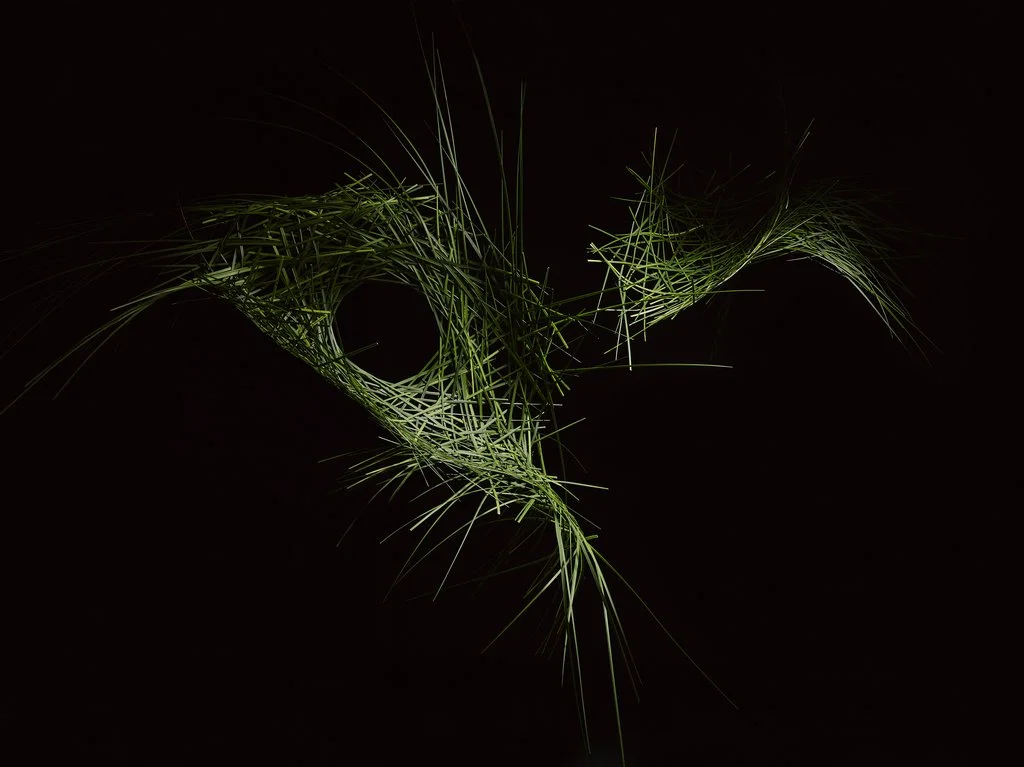 instalacion vegetal flight de loose leaf