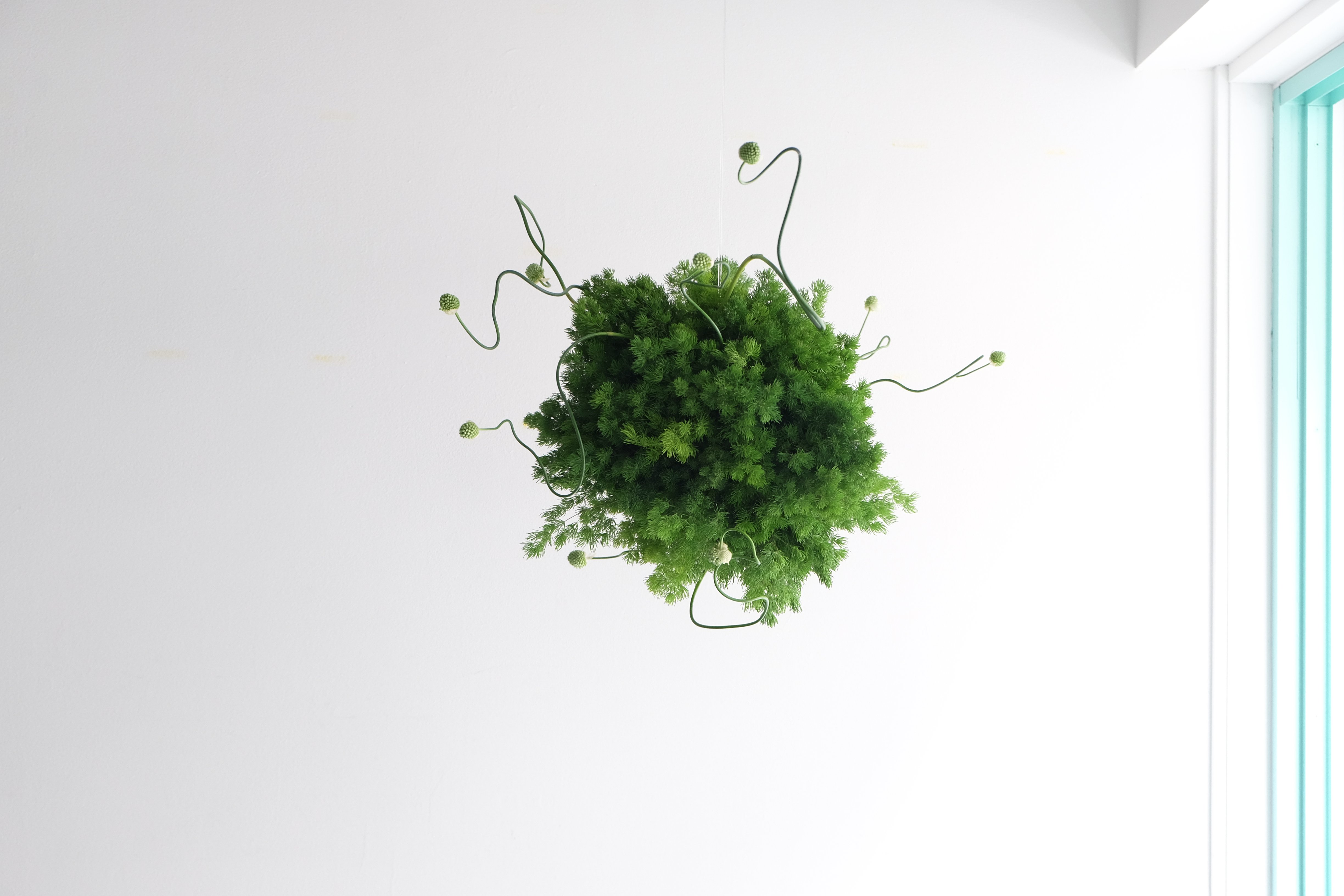instalacion little creatures
